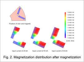 Fig. 2. Magnetization distribution after magnetization