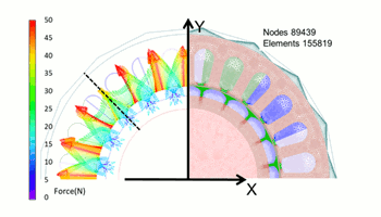 Fig. 3 JMAG analysis results: electromagnetic force (left) and mesh (right)