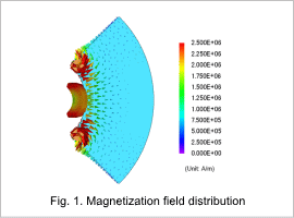 Fig. 1. Magnetization field distribution