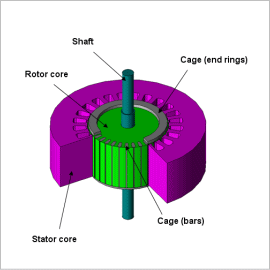 Line Start Analysis of a Three-phase Induction Machine