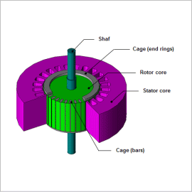 Line Start Simulation of an Induction Machine Using a Control Simulator and the JMAG-RT