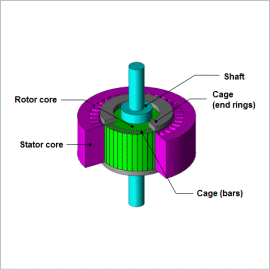 Torque Characteristic Analysis of a Three Phase Induction Motor