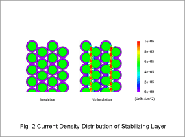 Fig. 2 Current Density Distribution of Stabilizing Layer