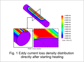 Fig. 1 eddy current loss density distribution directly after starting heating