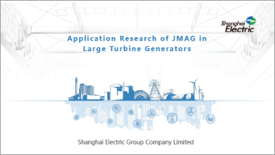 Application Research of JMAG in Large Turbine Generators