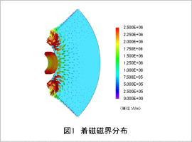 図1　着磁磁界分布