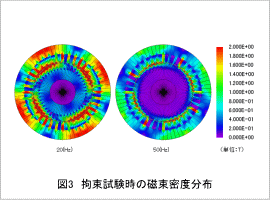 図3 拘束試験時の磁束密度分布